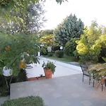 Bloom Garden *