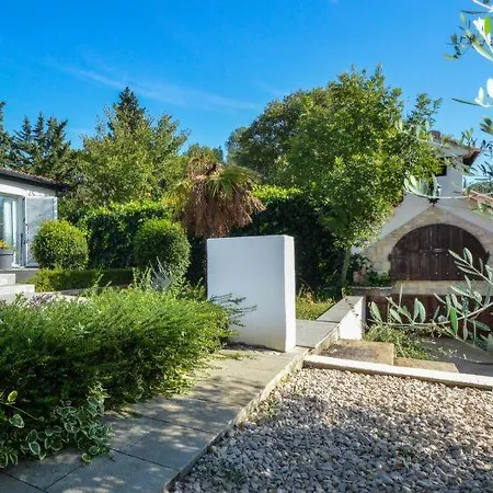 Bloom Garden Rupici